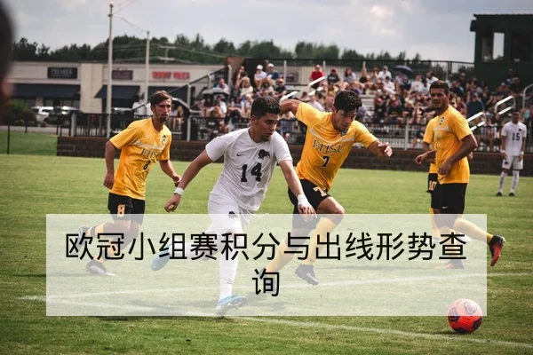 欧冠小组赛积分与出线形势查询